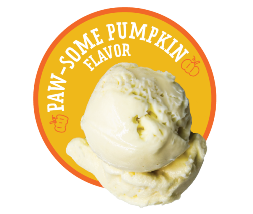 Paw-Some Pumpkin Flavor Icon Graphic