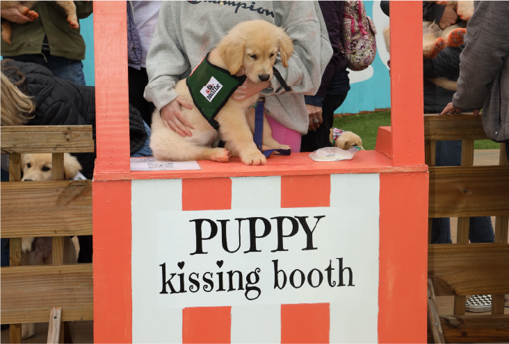 Photo of puppy kissing booth