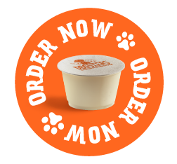 Order now
