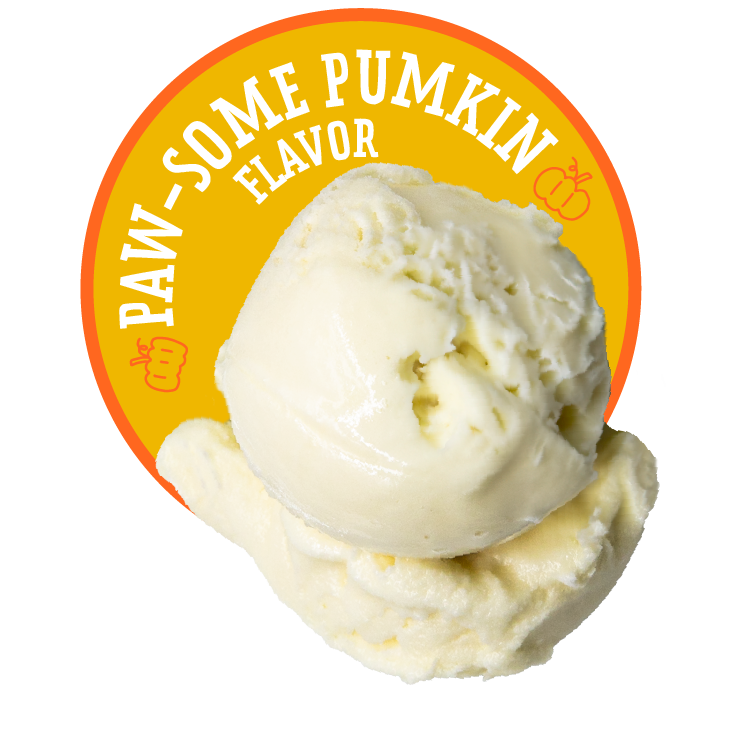 Paw-Some Pumpkin Flavor Icon Graphic